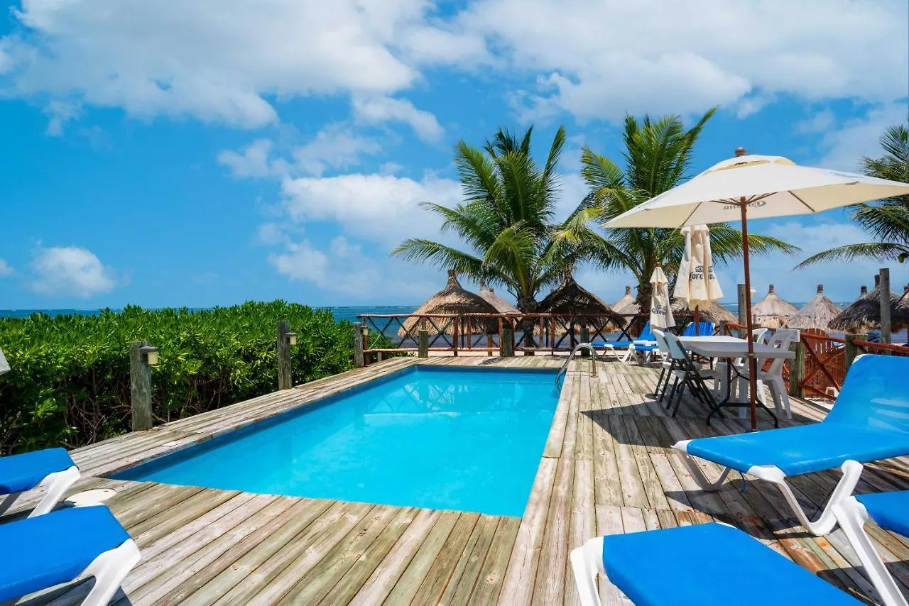 The Diving Lodge Downtown Puerto Morelos Dom wakacyjny
