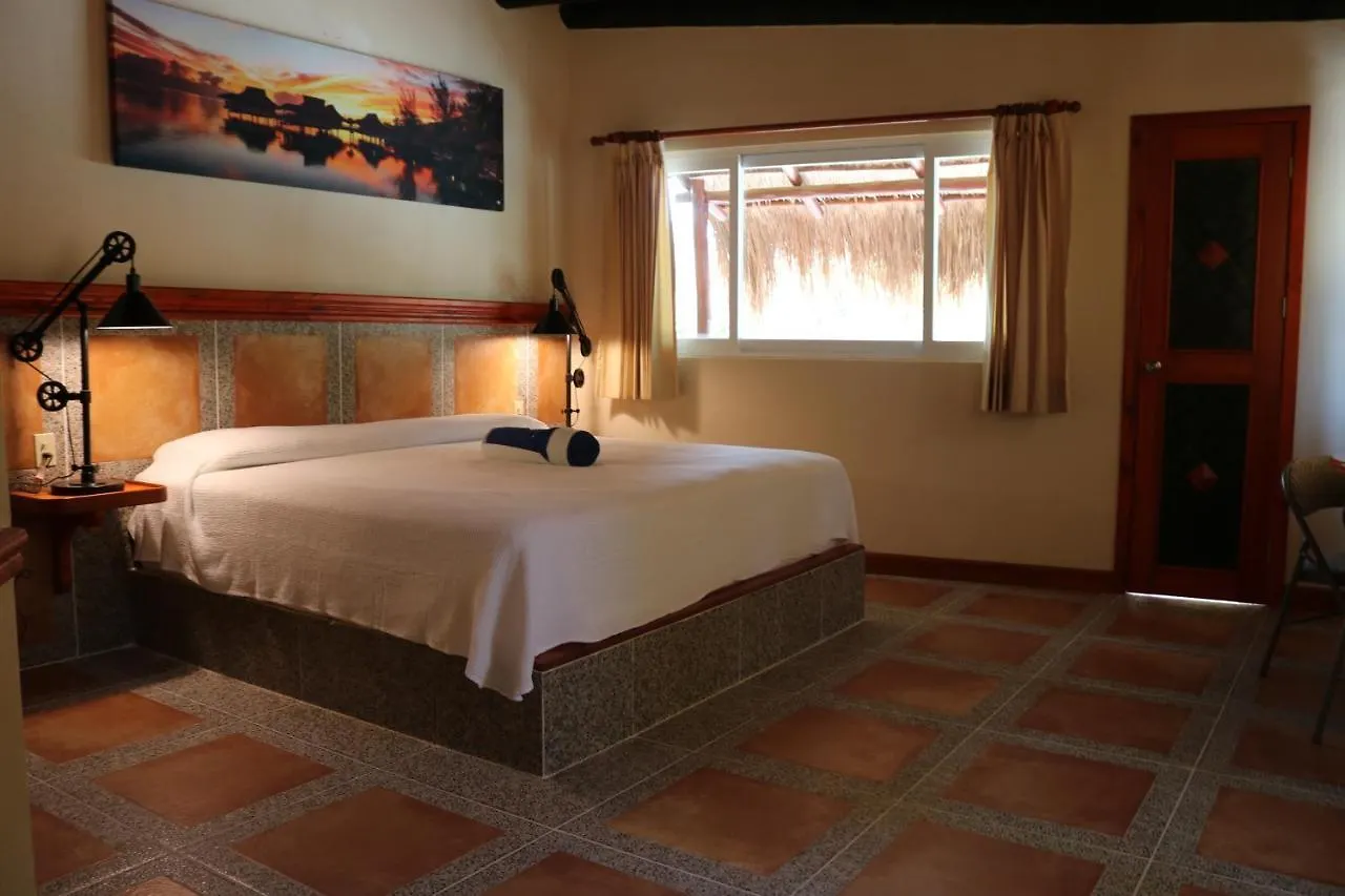 The Diving Lodge Downtown Puerto Morelos