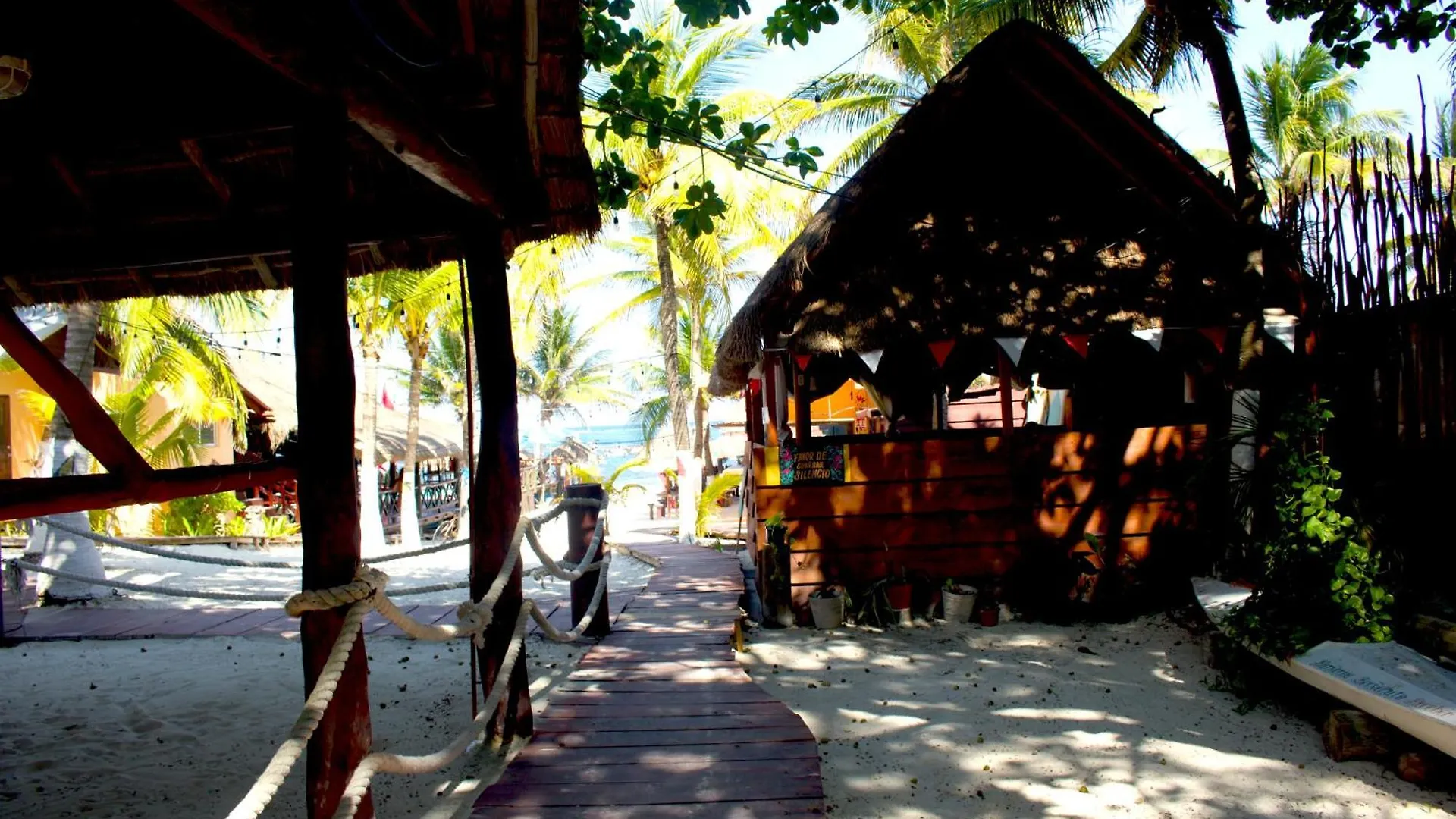 The Diving Lodge Downtown Puerto Morelos 0*,