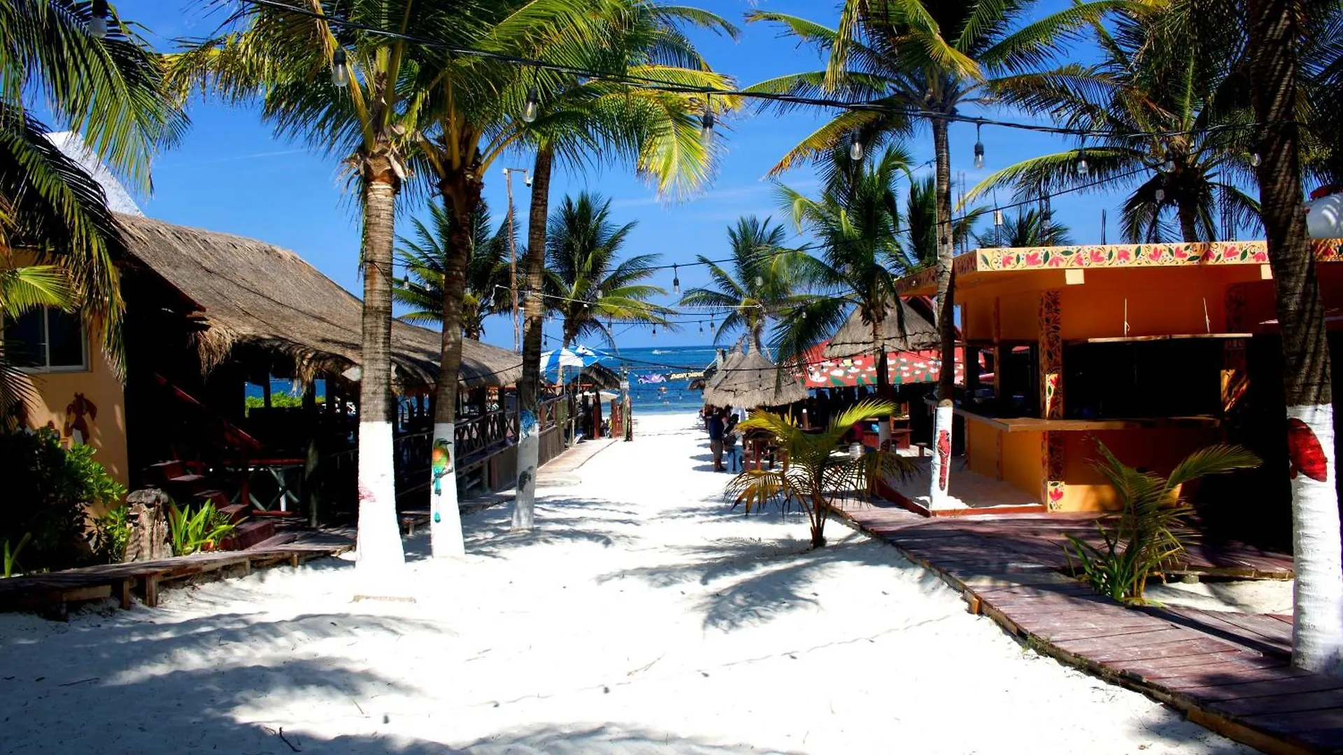 The Diving Lodge Downtown Puerto Morelos
