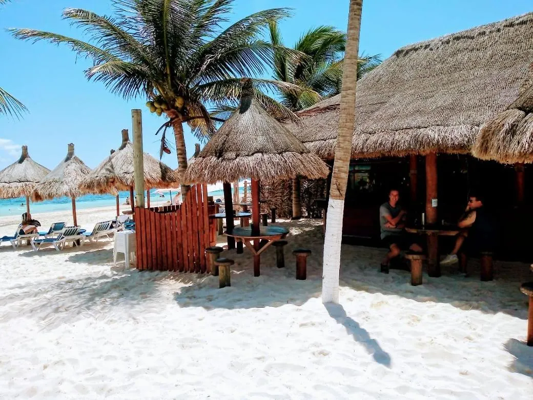 The Diving Lodge Downtown Puerto Morelos 0*,  Meksyk
