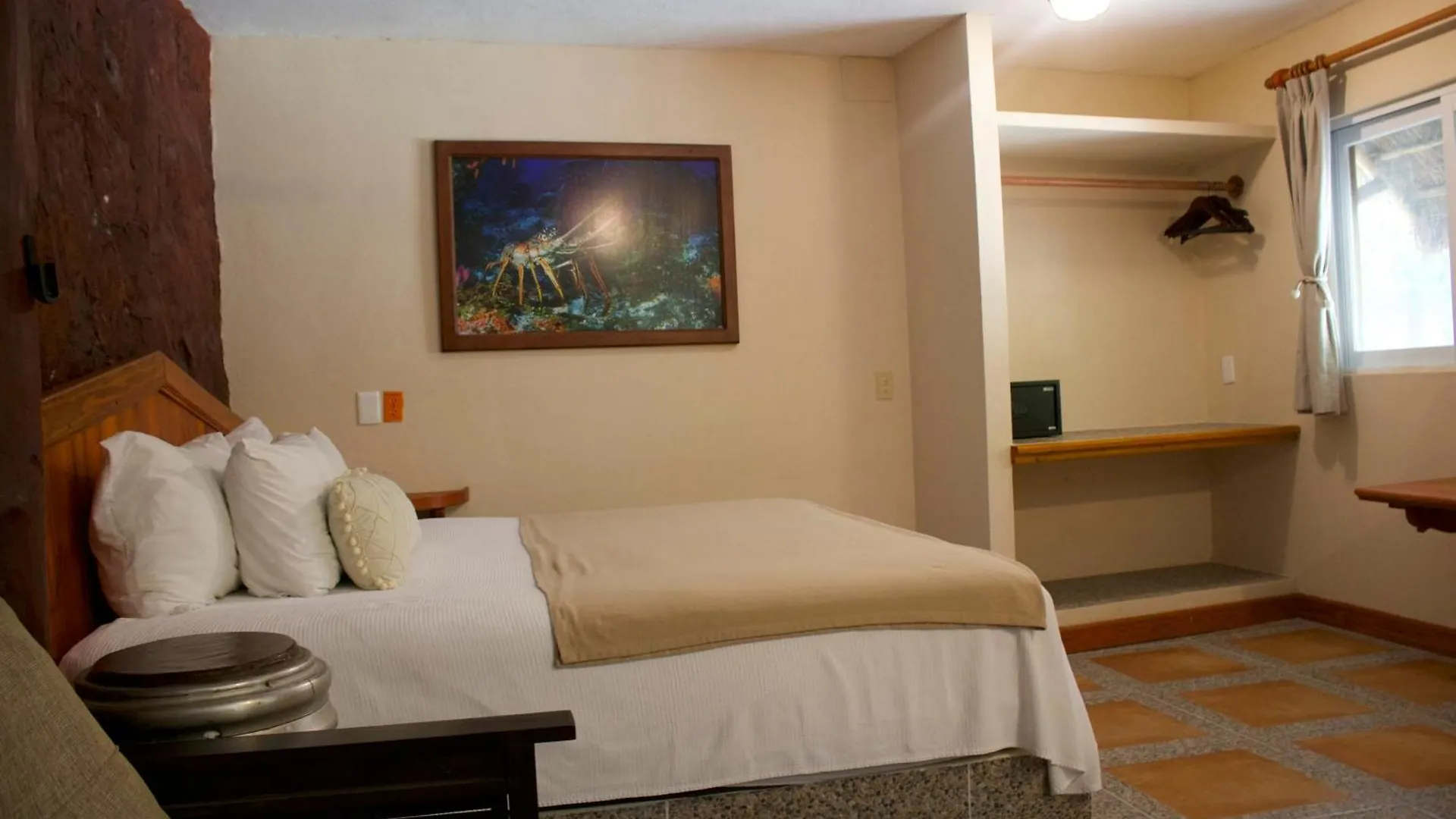 The Diving Lodge Downtown Puerto Morelos Meksyk