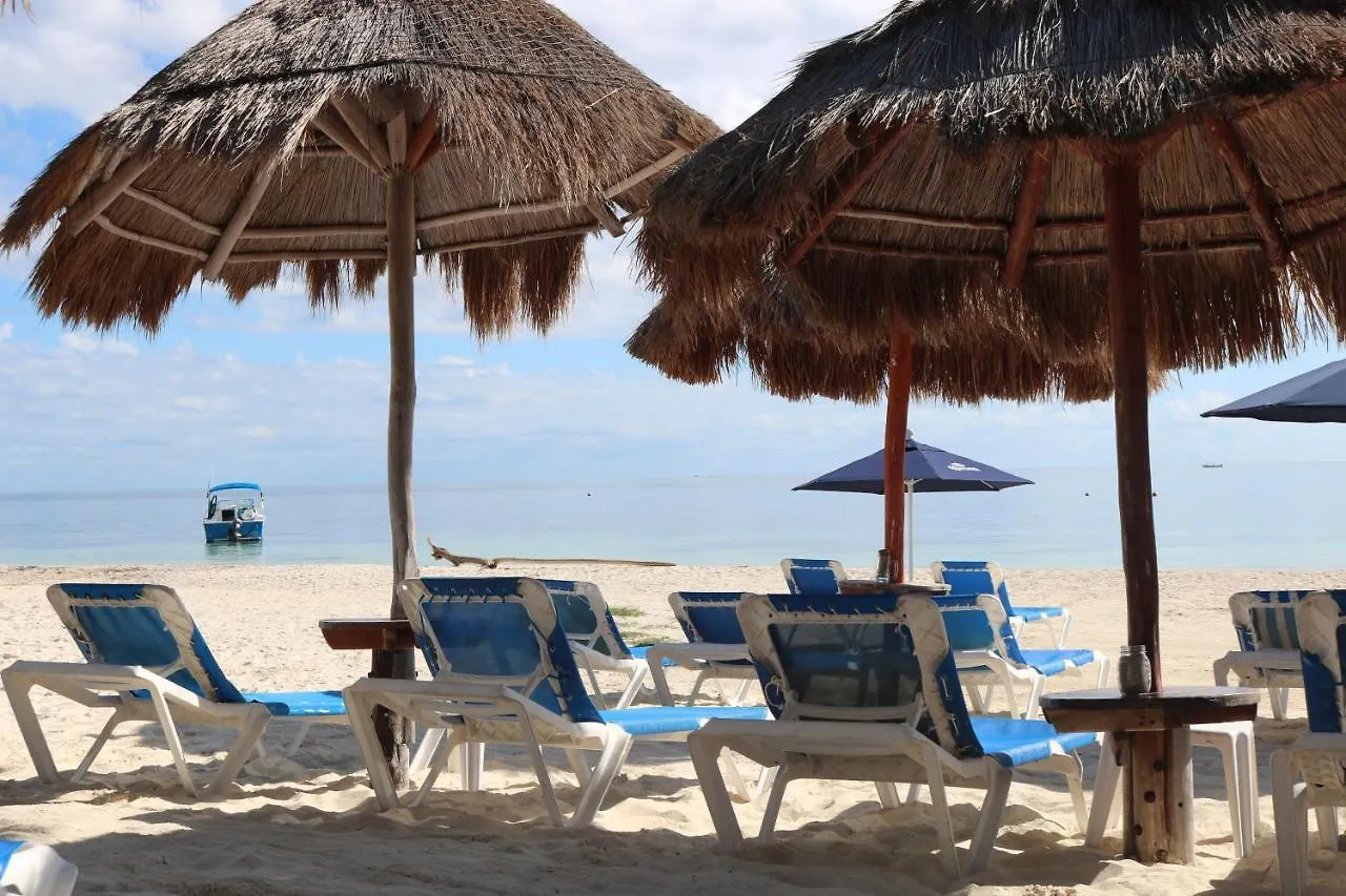 The Diving Lodge Downtown Puerto Morelos