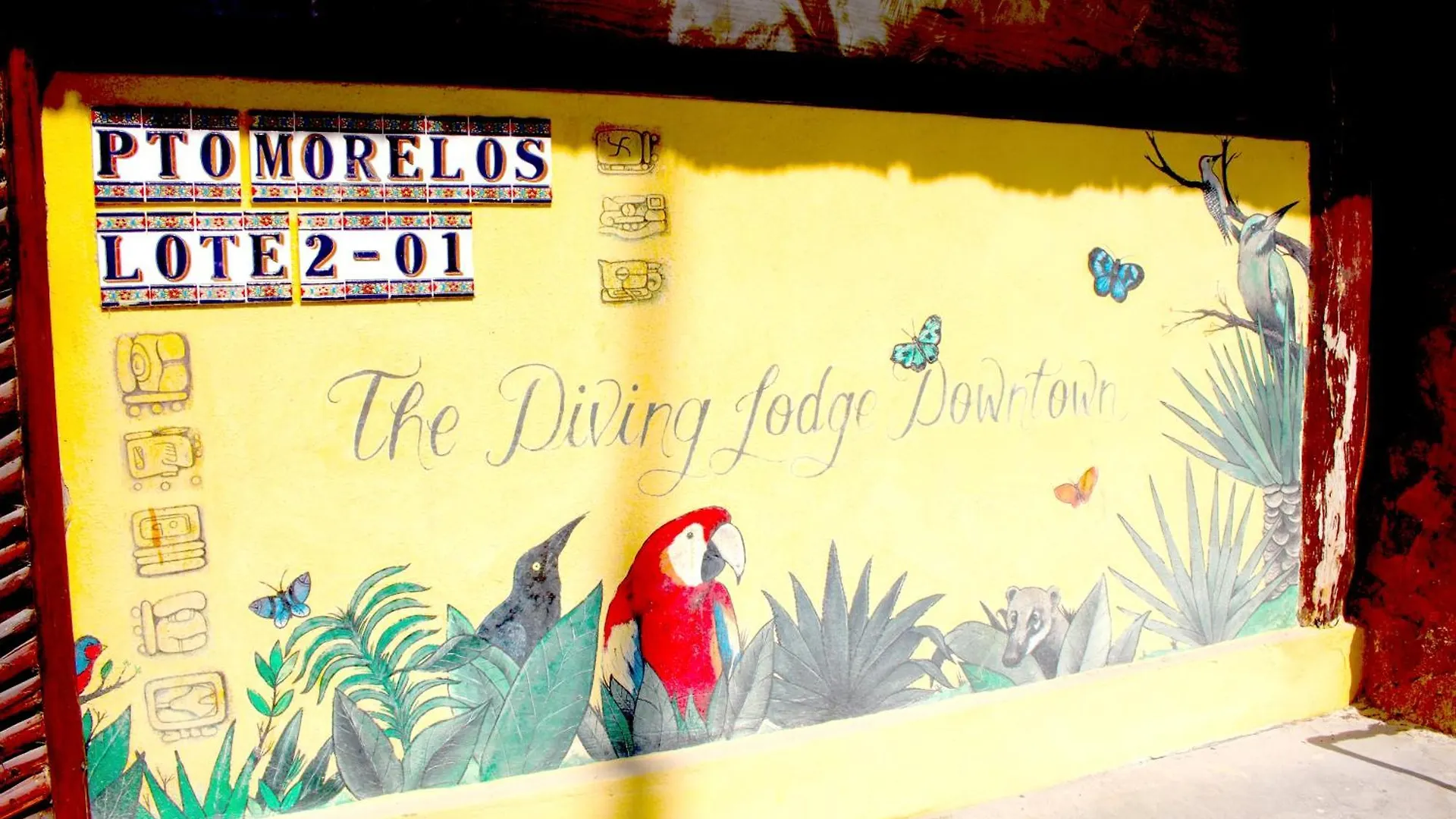 The Diving Lodge Downtown プエルト・モレロス 別荘